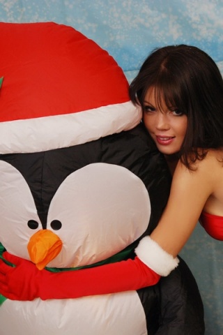 Merry Xmas Mr Penguin